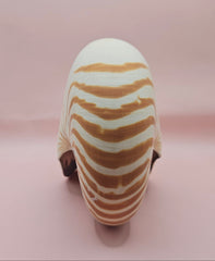 8-inch natural nautilus shell with smooth spiral pattern and creamy pearlescent finish.