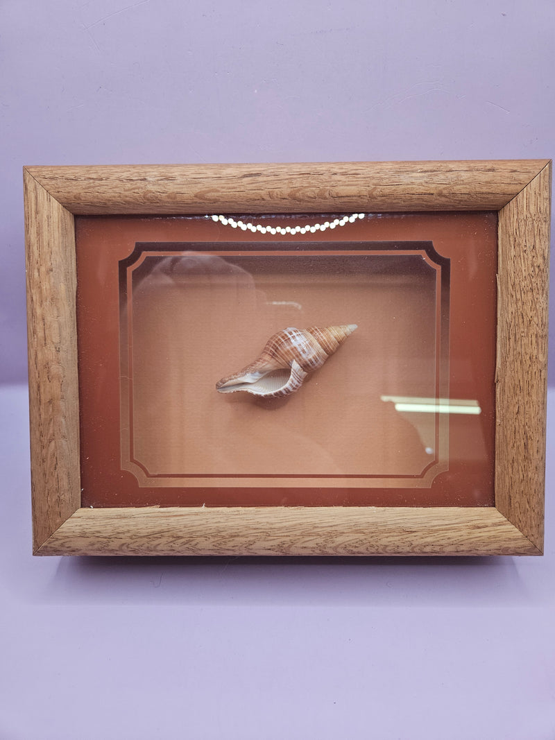 Coastal-inspired vintage shadow box 8.5x6.25