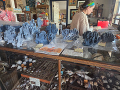 Vintage Blue Ridge Coral Specimen - Natural Coastal Home Decor Piece