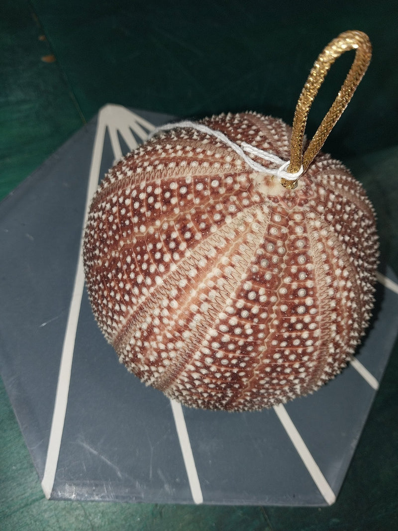 Rust English Urchin Ornament - Loving Coastal Living