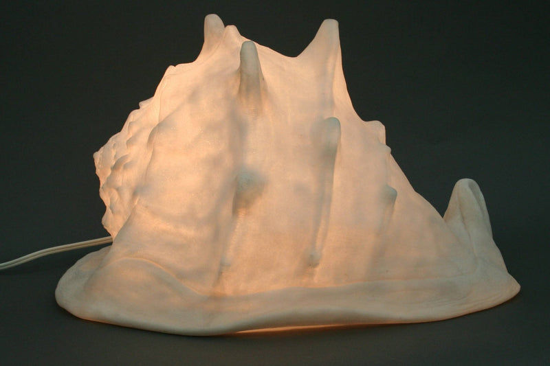Sandstone Helmet Shell Lamp - Modern Coastal by Contrast Inc.
