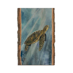 Sea Turtle - Wood Magnets - Accent DecorDaydreamHQ