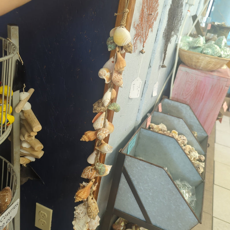 Seashell Garland - World Shells Imports