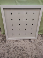 Shark teeth shadow box - Made to order - Wall DecorLoving Coastal Living