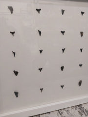 Shark teeth shadow box - Made to order - Wall DecorLoving Coastal Living