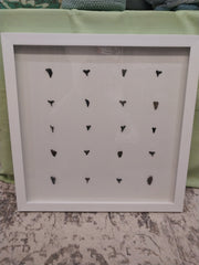 Shark teeth shadow box - Made to order - Wall DecorLoving Coastal Living