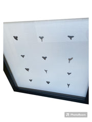 Shark teeth shadow box - Made to order - Wall DecorLoving Coastal Living