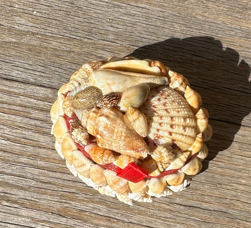 Small Vintage Shell Jewelry Box - Loving Coastal Living