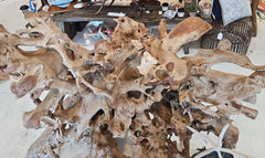 Teak Root - Lg FurnitureShop Top