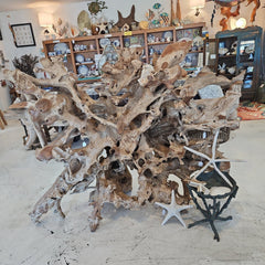 Teak Root - Lg FurnitureShop Top