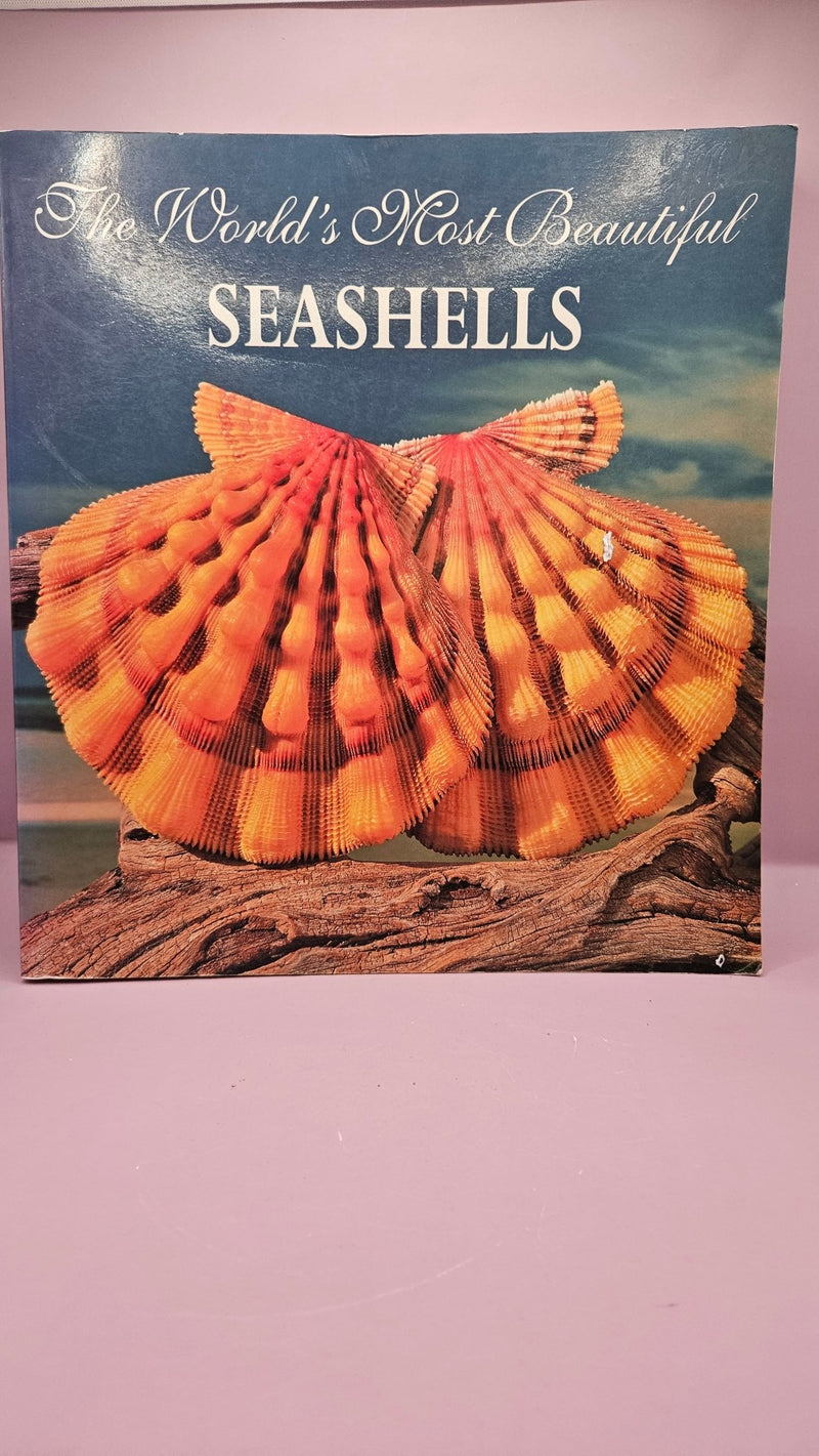 The World's Most Beautiful Seashells - Hardcover 12"x11" Stunning Visual Guide - BooksLoving Coastal Living