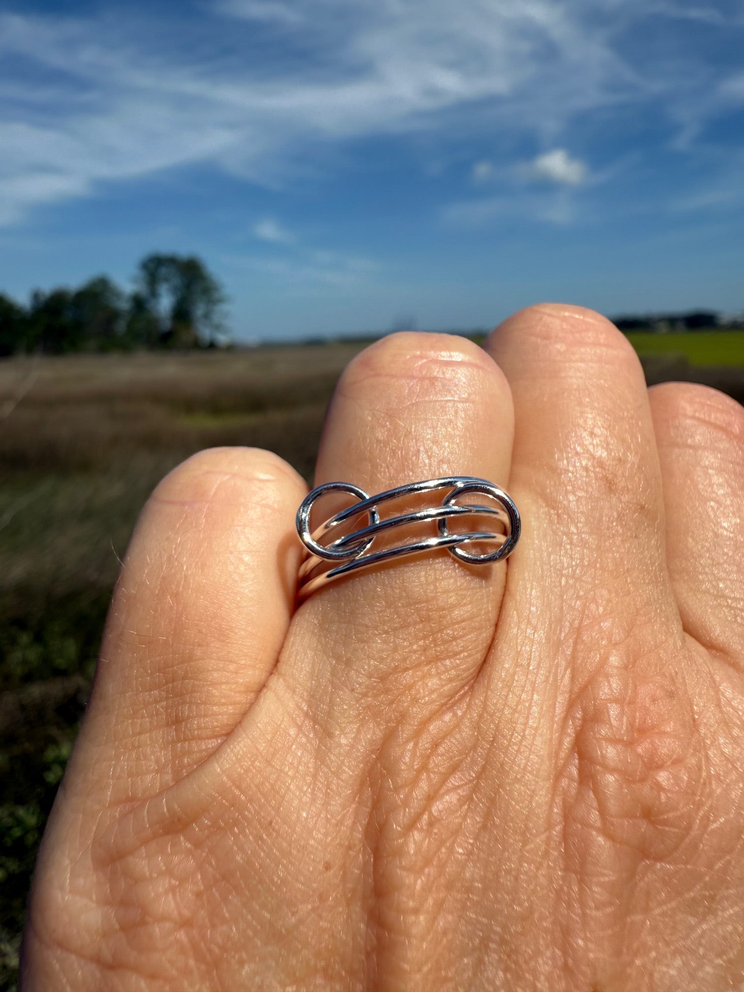 10 Interlocking Rings Interlocking Rings | Loving Coastal Living