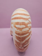 Tiger Nautilus Shell – Striking Natural Ocean Decor (7.25