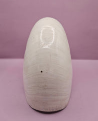 Tiger Nautilus Shell – Striking Natural Ocean Decor (8.5