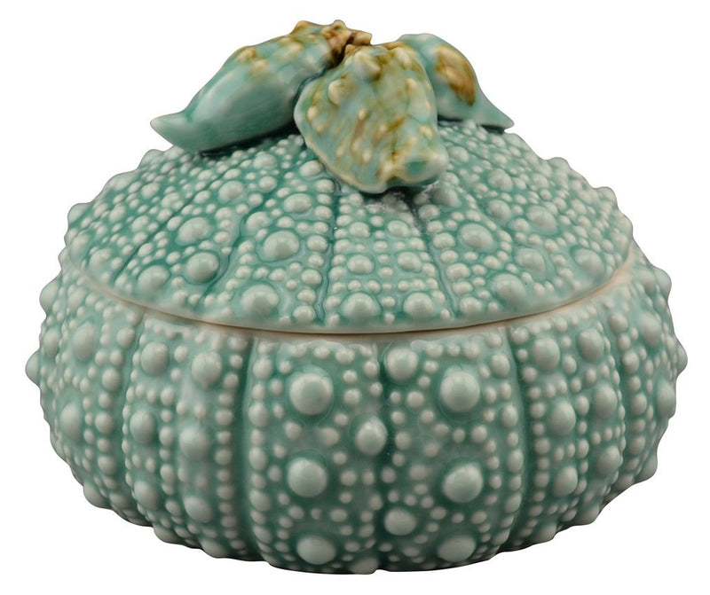 Turquoise Urchin 7.5" Box - Accent DecorBlue Sky Clayworks