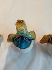 Turtle Egg - 3 Colors and Styles - Accent DecorWorld Shells Imports