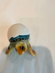 Turtle Egg - 3 Colors and Styles - Accent DecorWorld Shells Imports