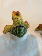 Turtle Egg - 3 Colors and Styles - Accent DecorWorld Shells Imports