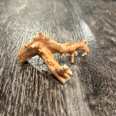 Ultra RARE Vintage Ivory Peach Stylaster Coral - 3.5
