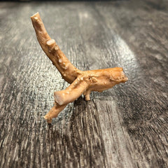 Ultra RARE Vintage Ivory Peach Stylaster Coral - 3.5