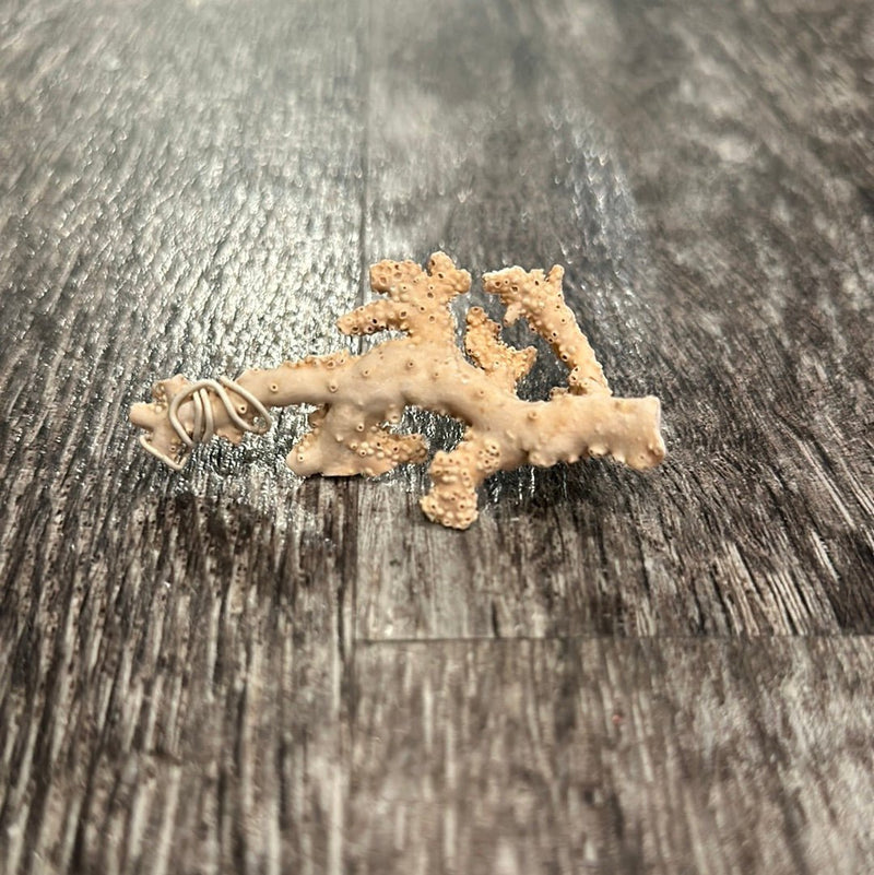 Ultra RARE Vintage Ivory Peach Stylaster Coral - 3.75"x1.5"x1" - coralLoving Coastal Living