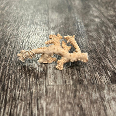 Ultra RARE Vintage Ivory Peach Stylaster Coral - 3.75