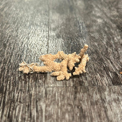Ultra RARE Vintage Ivory Peach Stylaster Coral - 3.75