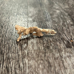 Ultra RARE Vintage Ivory Peach Stylaster Coral - 3.75