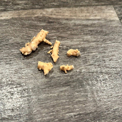 Ultra RARE Vintage Ivory Peach Stylaster Coral Pieces - coralLoving Coastal Living