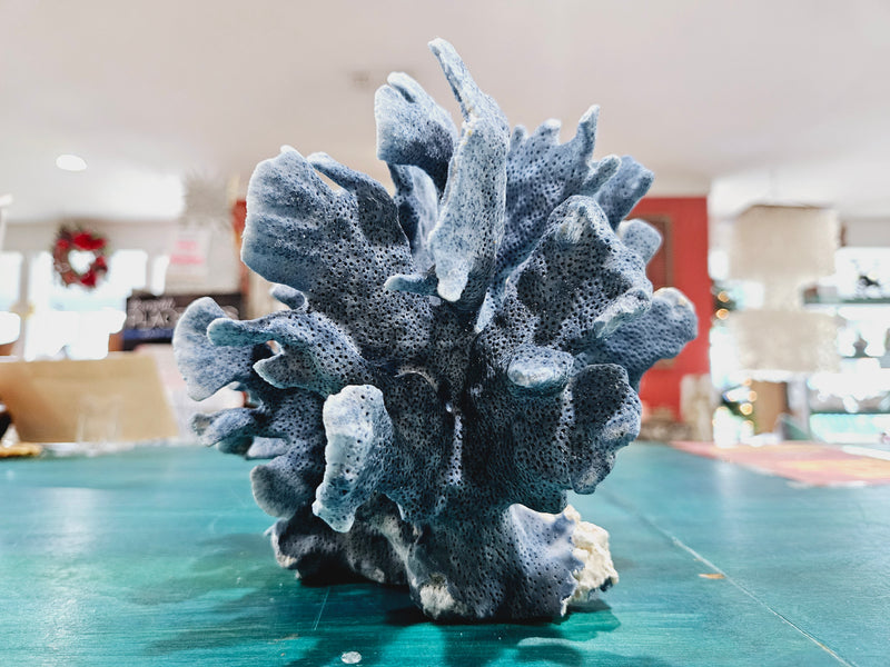 Vintage Blue Ridge Coral -6.5"