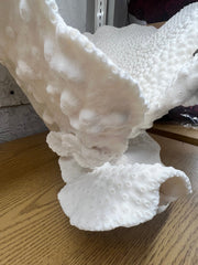 Vintage Black Cup Coral - 25