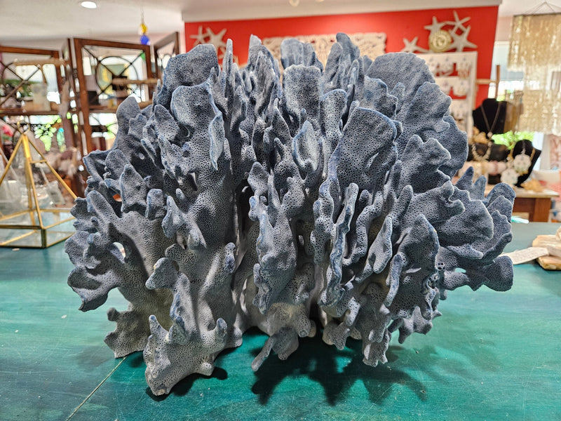 Vintage Blue Coral – 14.5" x 12.5" x 10" Natural Ocean Décor - coralLoving Coastal Living