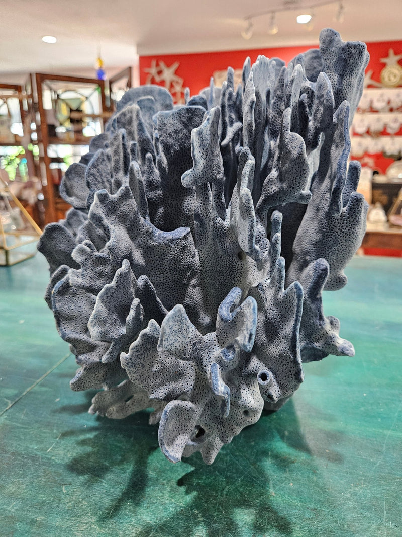 Vintage Blue Coral – 14.5" x 12.5" x 10" Natural Ocean Décor - coralLoving Coastal Living