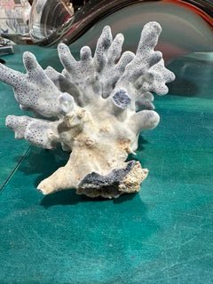 Vintage Blue Ridge Coral - 4.5X4.5X4" - coralLoving Coastal Living