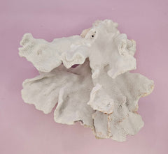 Vintage Blue Ridge Coral - 6