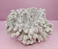 Vintage Blue Ridge Coral - 7.5