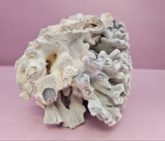 Vintage Blue Ridge Coral - 7.75
