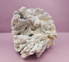 Vintage Blue Ridge Coral - 7.75