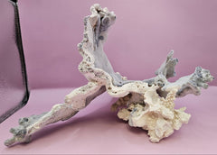 Vintage Blue Ridge Coral - 9.75