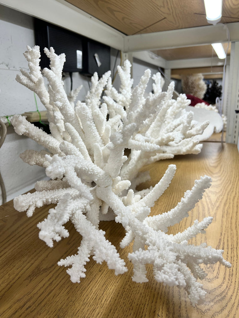 Vintage Branch Coral Creation - 28" - coralTideline