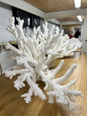 Vintage Branch Coral Creation - 28