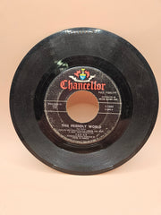 Vintage Fabian Hound Dog Man/This Friendly World 45RPM Record - DecorLoving Coastal Living