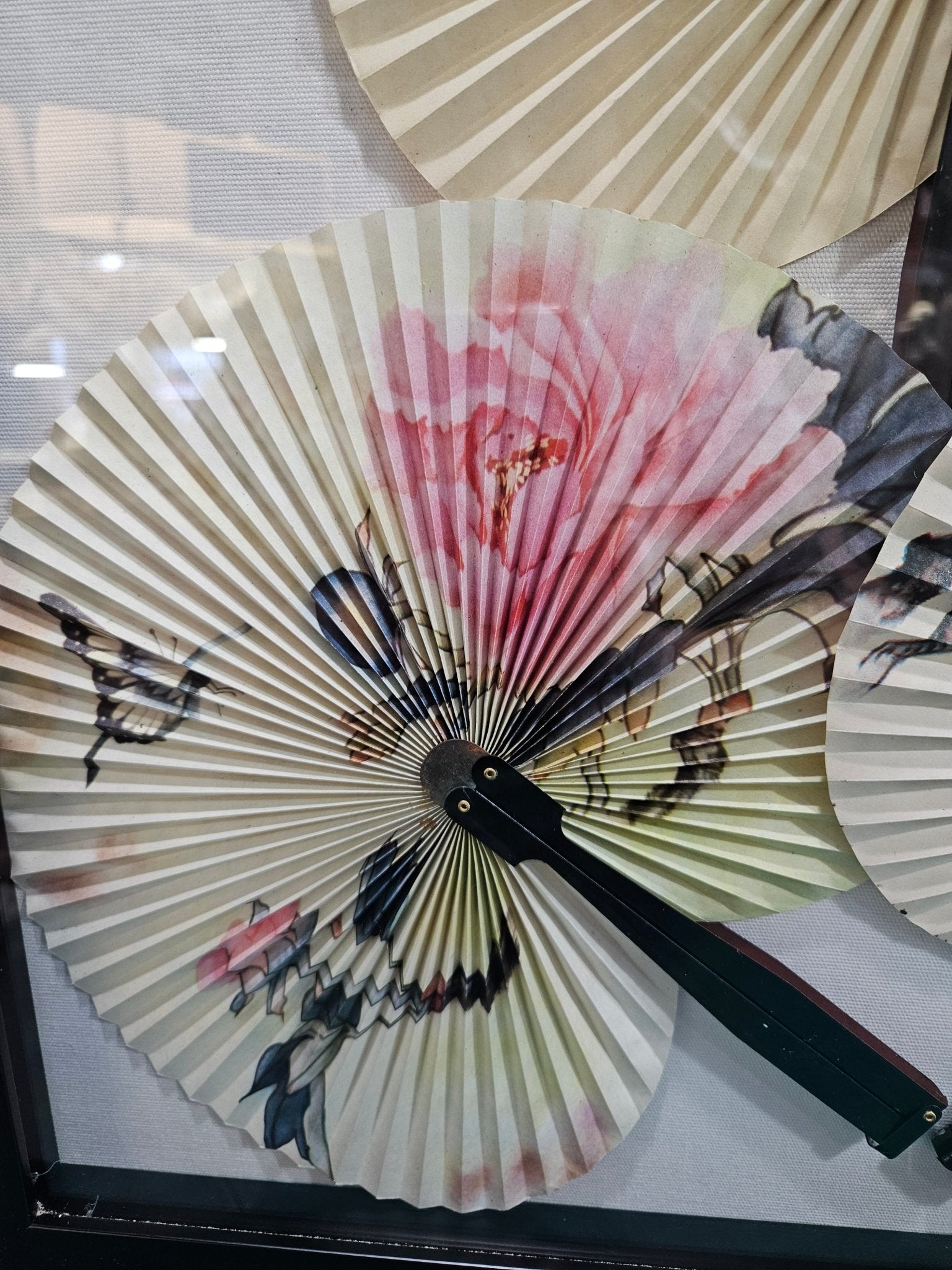 Fan Shadow Box Vintage Fan Shadow Box | Loving Coastal Living