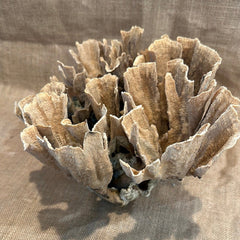 Vintage Natural Poca Coral - 12