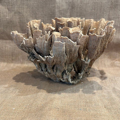 Vintage Natural Poca Coral - 12