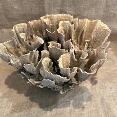 Vintage Natural Poca Coral - 12