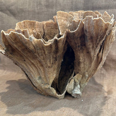Vintage Natural Poca Coral - 14