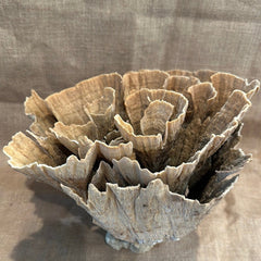 Vintage Natural Poca Coral - 14