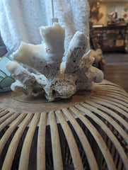 Vintage Open Brain Coral - 8