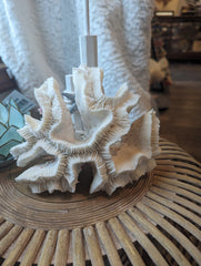 Vintage Open Brain Coral - 8